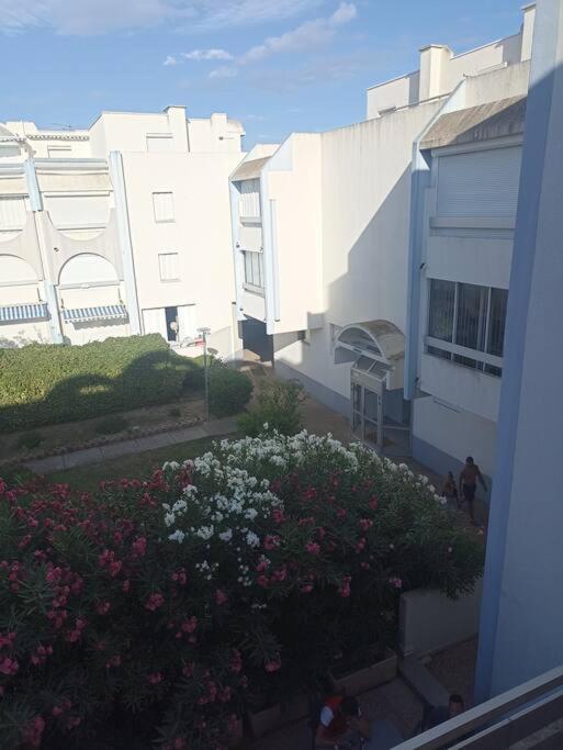 Appartement 2 Pieces + Cabine, 6 Couchages Le Grau-du-Roi Exteriör bild